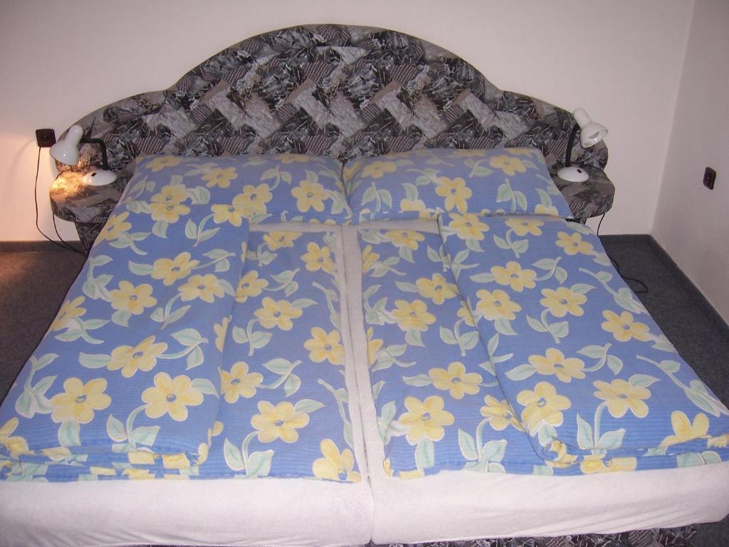 Pension Baron Vrchlabí 部屋 写真
