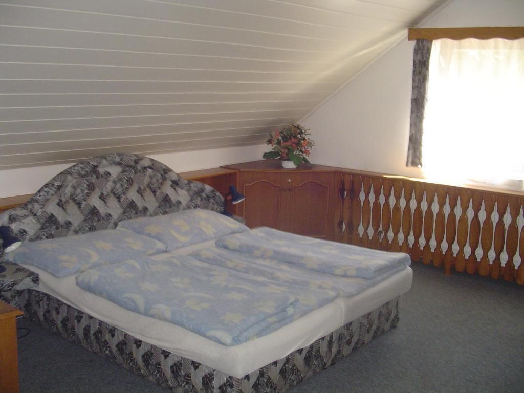 Pension Baron Vrchlabí 部屋 写真